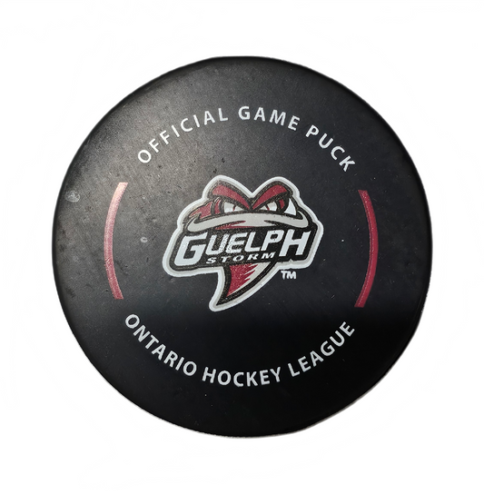 *Official Game Puck