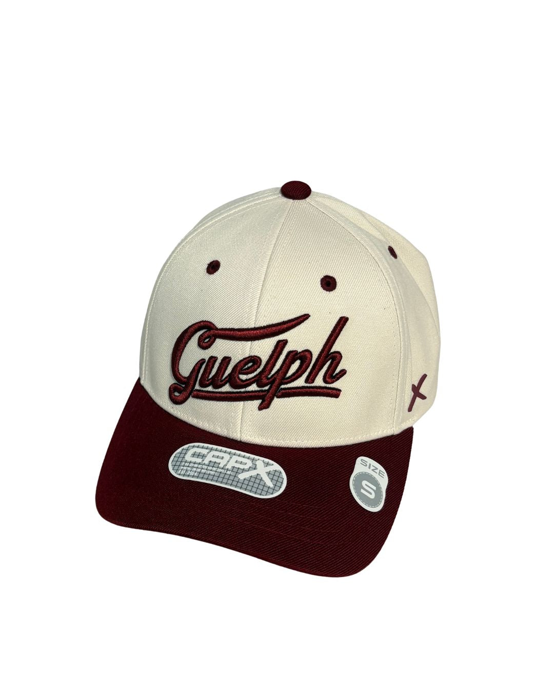 CapX Division