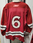2010/2011 Game Used/ Game Weight Jerseys